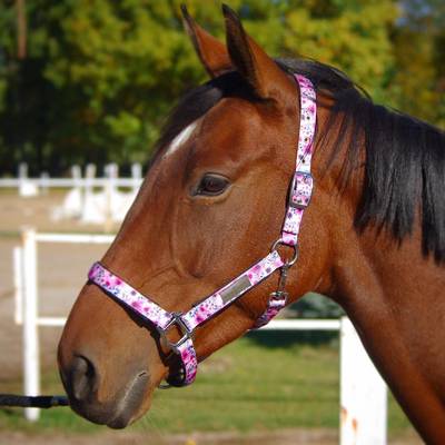 Floral horse halter