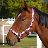 Floral horse halter