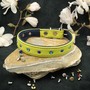 Example of use #1: Collar Buckle – Nickel Plated