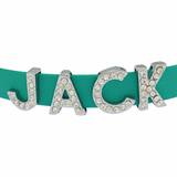 Pastel green collar Jack