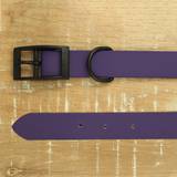 Violet collar made of waterproof webbing