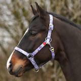 Purple Horse Halter
