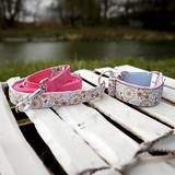 Dog collar and leash floral