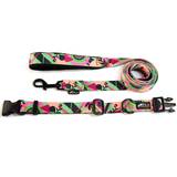 Coloured Collar and Leash with Side Release Buckle