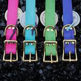 Dog collars various colours
