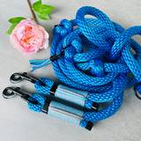 Light Blue Leash