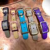 Mix 5 colors dog leash