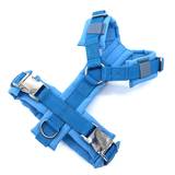 Blue Harness with Nickel Plated Hardware