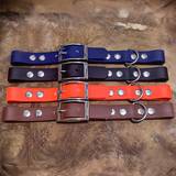 Mix of color dog leashes