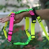 Neon colors dog harness