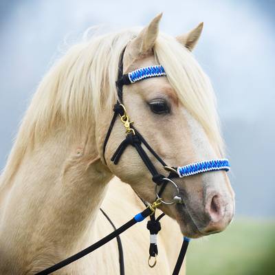 Paracord horse halter