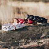 Valentine's collars