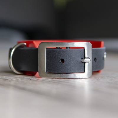 Crea un collar de plástico con hebilla