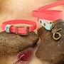 Example of use #4: Waterproof Webbing – Pastel Blue