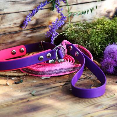 Stelle ein Kunststoffhalsband und eine Leine her