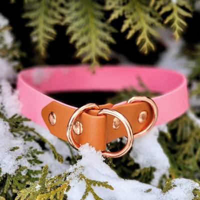 Make a pink collar with gold details