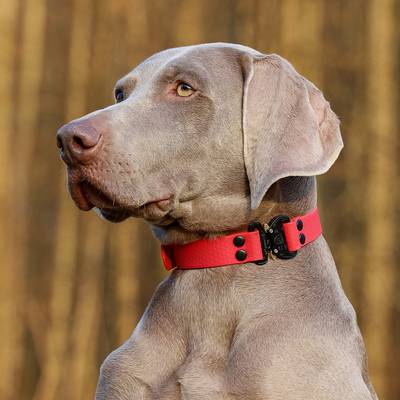 Haz un collar de plástico rojo