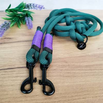 Make a dog leash, green with purple details