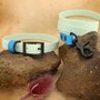 Example of use #2: Waterproof Webbing – Mint Green