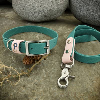 Crea un collar y correa de poliuretano