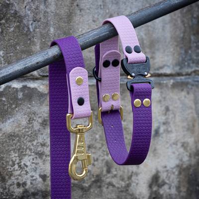 Zrób fioletową obrożę z okuciami