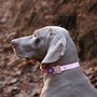 Example of use #4: Waterproof Webbing – Purple