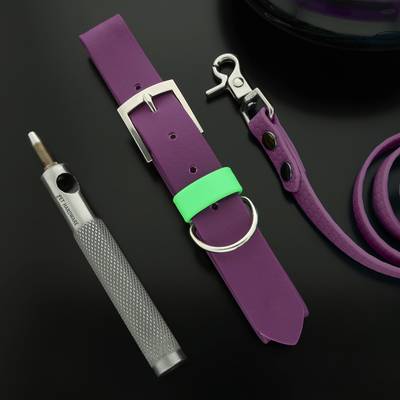 Conjunto morado con collar, correa y accesorios metálicos
