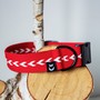 Example of use #1: Plastic Side Release Buckle 10 mm, Curved