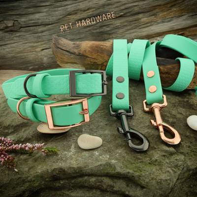 Stelle ein Halsband und eine Leine in Mintfarbe her
