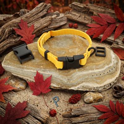 Small yellow 10 mm collar with black trim