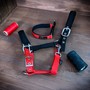 Example of use #3: Red Webbing 10 mm