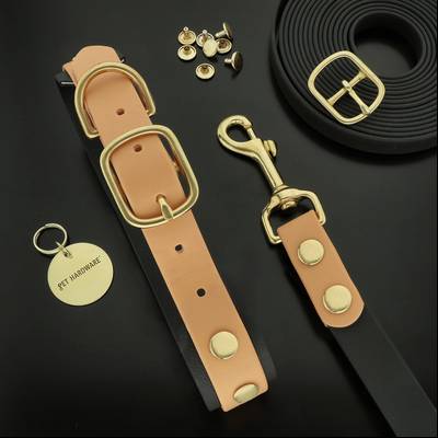 Collar y correa impermeables con herrajes de latón