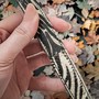 Przykład użycia #3: Pasek skórzany z krowią sierścią 20 mm, zebra