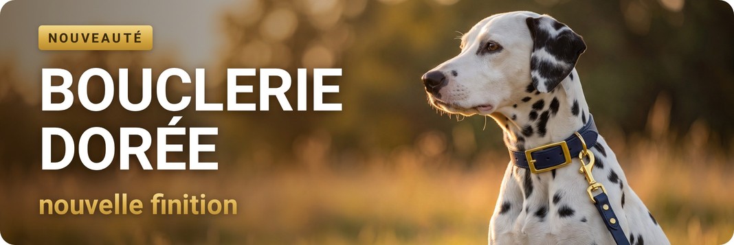 Bouclerie dorée – nouvelle finition