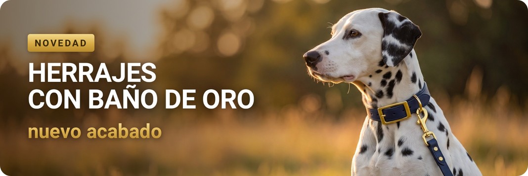 Herrajes con baño de oro – nuevo acabado