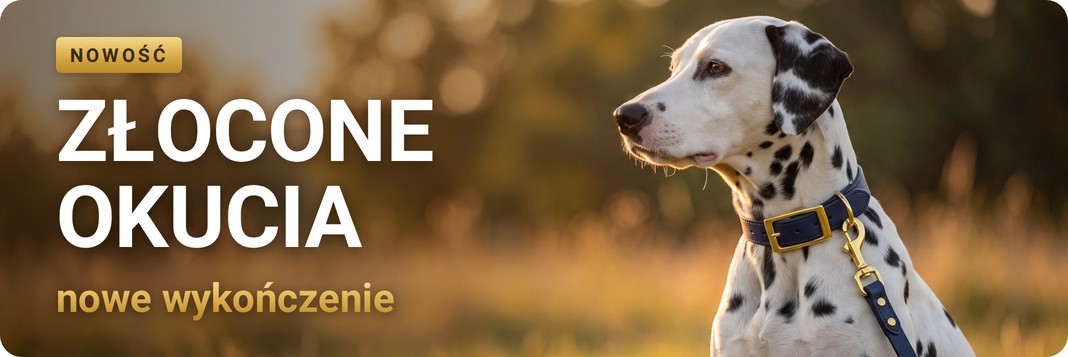 Złocone okucia – nowe wykończenie